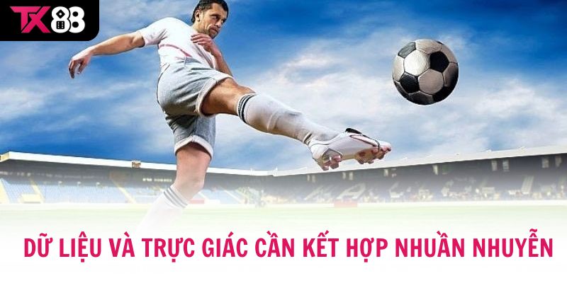 Cần có sự kết hợp nhuần nhuyễn giữa dữ liệu và trực giác