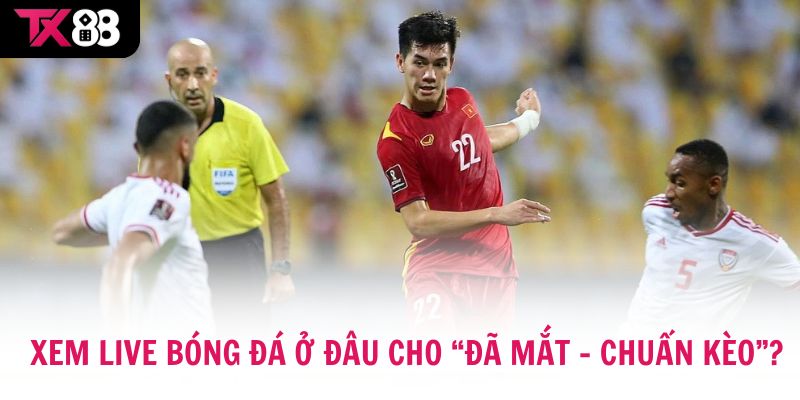 Xem Live Bóng Đá ở đâu cho “đã mắt – chuẩn kèo”? 